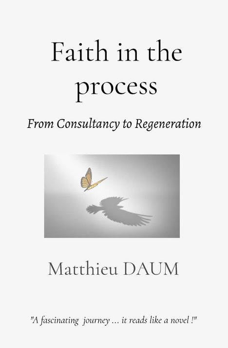 Matthieu Daum: Faith in the process, Buch