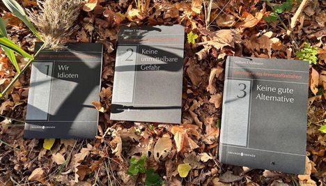 Drei Bücher auf Laub. Titel: "Wir Idioten", "Keine unmittelbare Gefahr", "Keine gute Alternative".