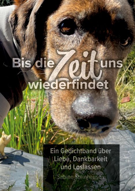 "Bis die Zeit uns wiederfindet. Ein Gedichtband über Liebe, Dankbarkeit und Loslassen. Sabine Steinhausen."  
Ein Hund schaut nah in die Kamera.