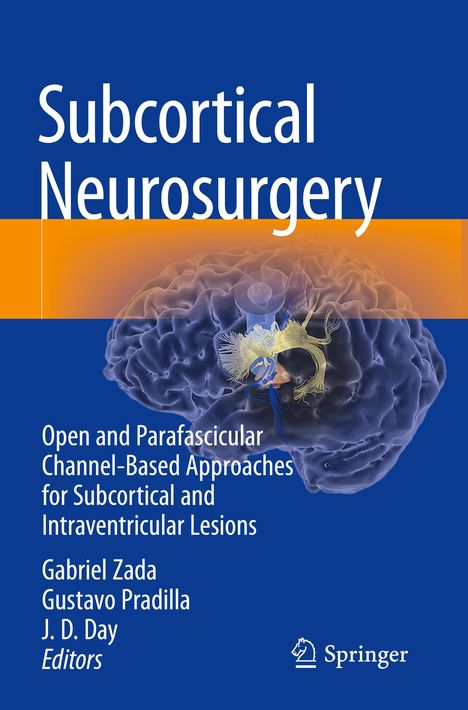 Subcortical Neurosurgery, Buch