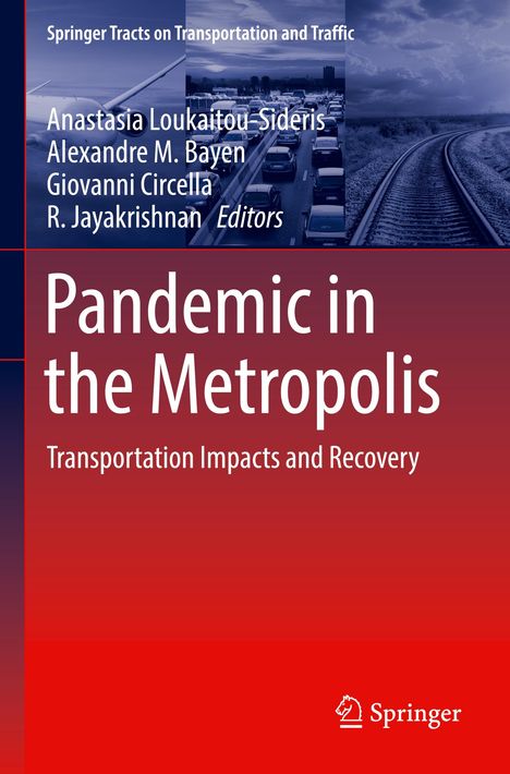 Pandemic in the Metropolis, Buch