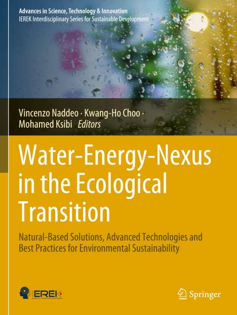 Water-Energy-Nexus in the Ecological Transition, Buch