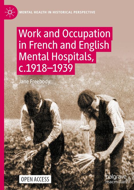 Jane Freebody: Work and Occupation in French and English Mental Hospitals, c.1918-1939, Buch