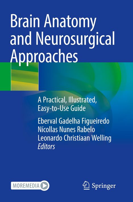 Brain Anatomy and Neurosurgical Approaches, Buch