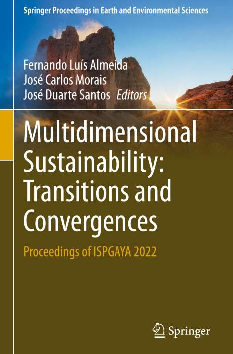 Multidimensional Sustainability: Transitions and Convergences, Buch