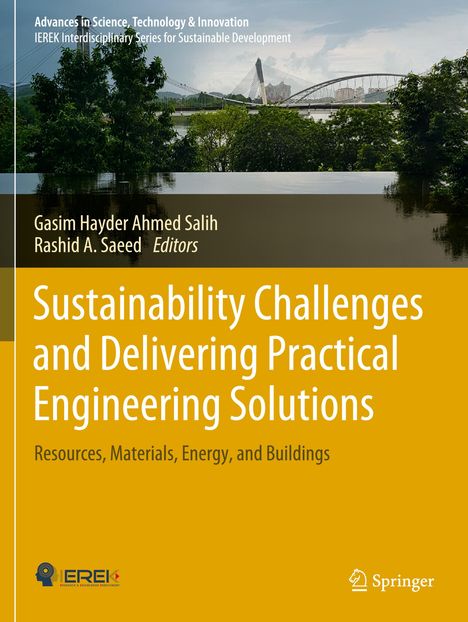 Sustainability Challenges and Delivering Practical Engineering Solutions, Buch