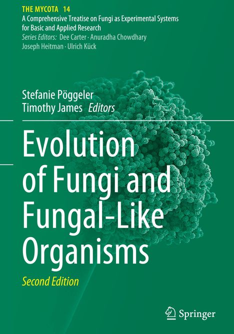 Evolution of Fungi and Fungal-Like Organisms, Buch