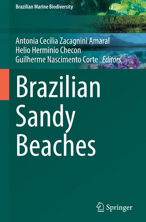 Brazilian Sandy Beaches, Buch