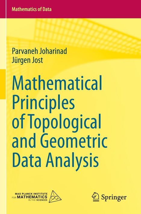 Jürgen Jost: Mathematical Principles of Topological and Geometric Data Analysis, Buch