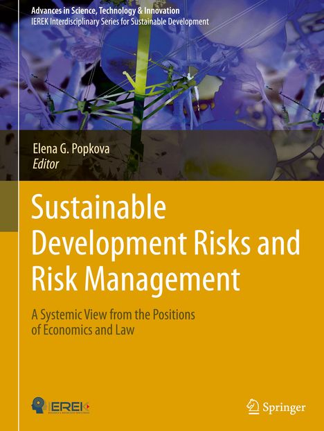 Sustainable Development Risks and Risk Management, Buch