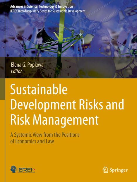 Sustainable Development Risks and Risk Management, Buch