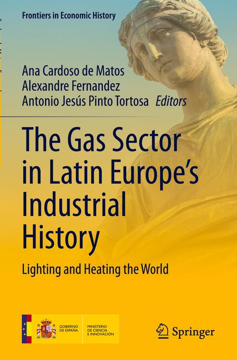 The Gas Sector in Latin Europe¿s Industrial History, Buch