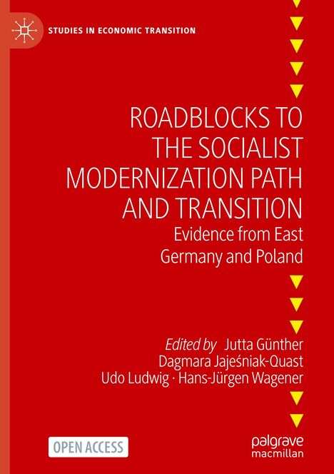 Roadblocks to the Socialist Modernization Path and Transition, Buch
