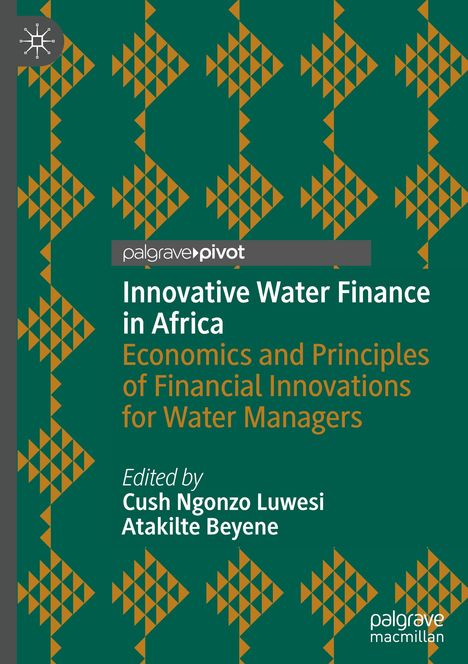Innovative Water Finance in Africa, Buch