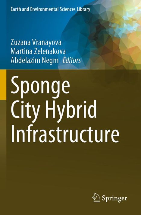 Sponge City Hybrid Infrastructure, Buch