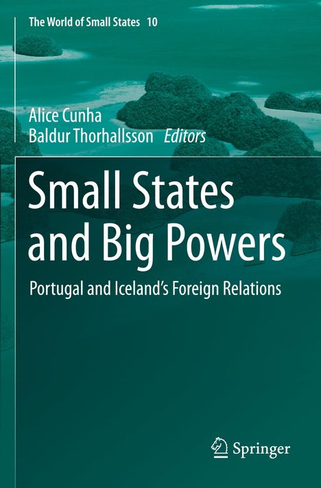 Small States and Big Powers, Buch