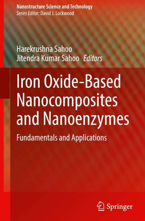 Iron Oxide-Based Nanocomposites and Nanoenzymes, Buch