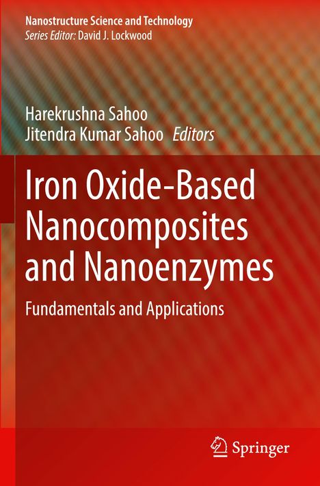 Iron Oxide-Based Nanocomposites and Nanoenzymes, Buch