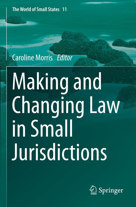 Making and Changing Law in Small Jurisdictions, Buch