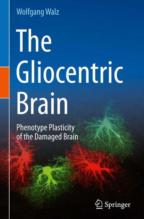 Wolfgang Walz: The Gliocentric Brain, Buch