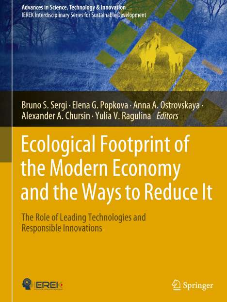 Ecological Footprint of the Modern Economy and the Ways to Reduce It, Buch