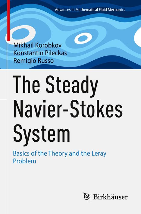 Mikhail Korobkov: The Steady Navier-Stokes System, Buch