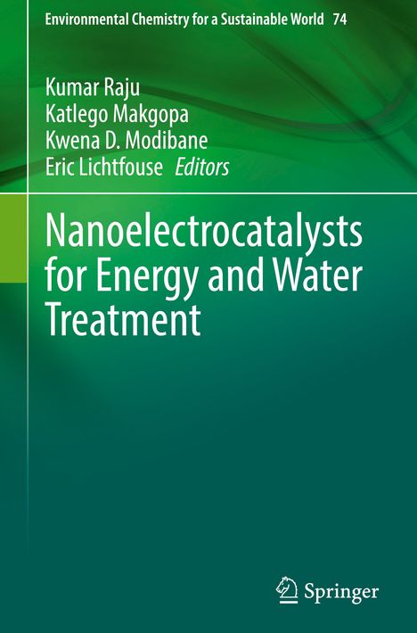 Nanoelectrocatalysts for Energy and Water Treatment, Buch