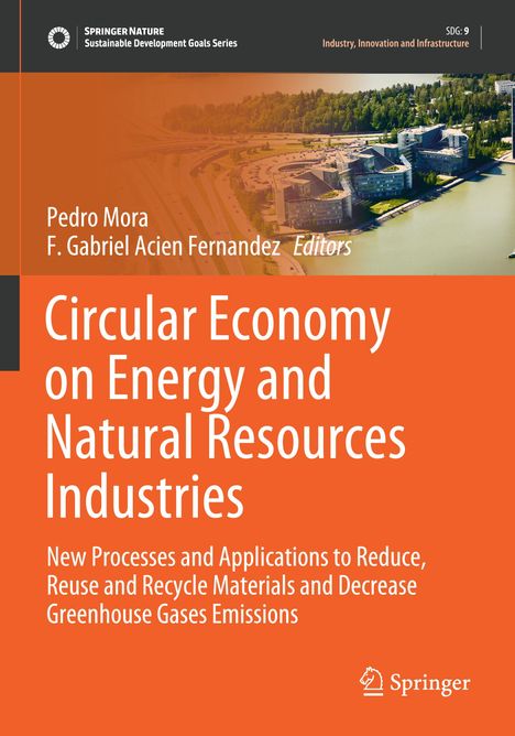 Circular Economy on Energy and Natural Resources Industries, Buch