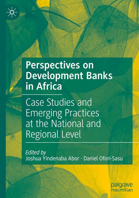 Perspectives on Development Banks in Africa, Buch