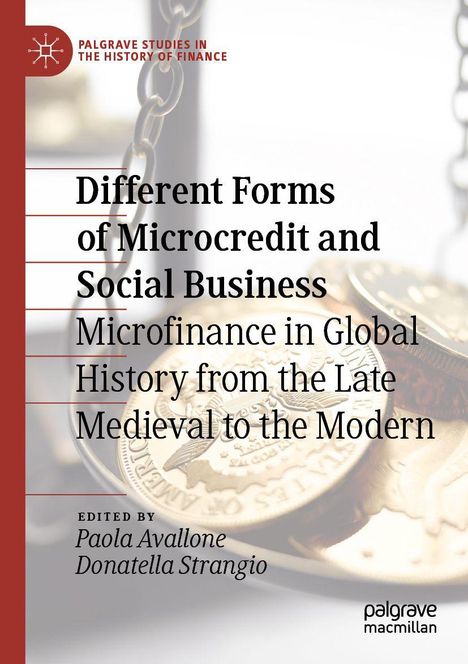 Different Forms of Microcredit and Social Business, Buch