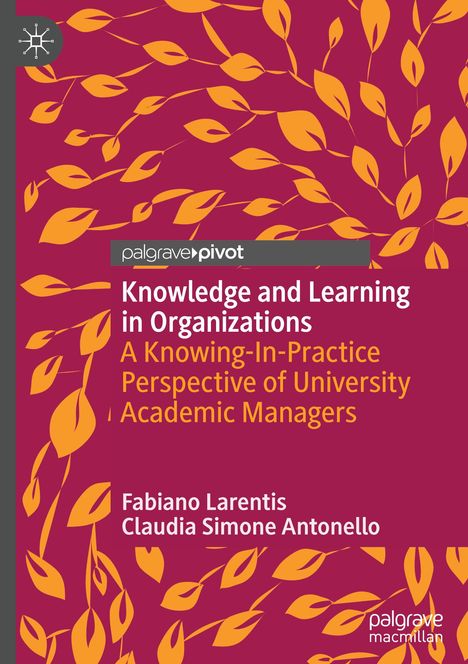 Claudia Simone Antonello: Knowledge and Learning in Organizations, Buch