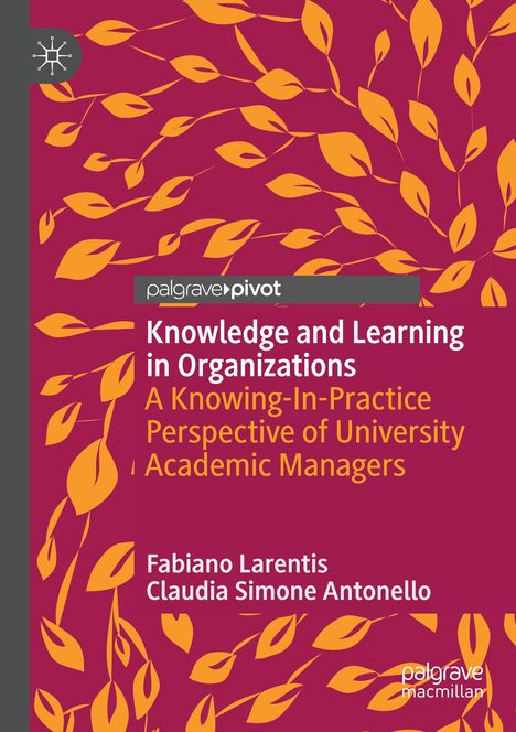 Claudia Simone Antonello: Knowledge and Learning in Organizations, Buch