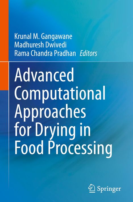 Advanced Computational Approaches for Drying in Food Processing, Buch