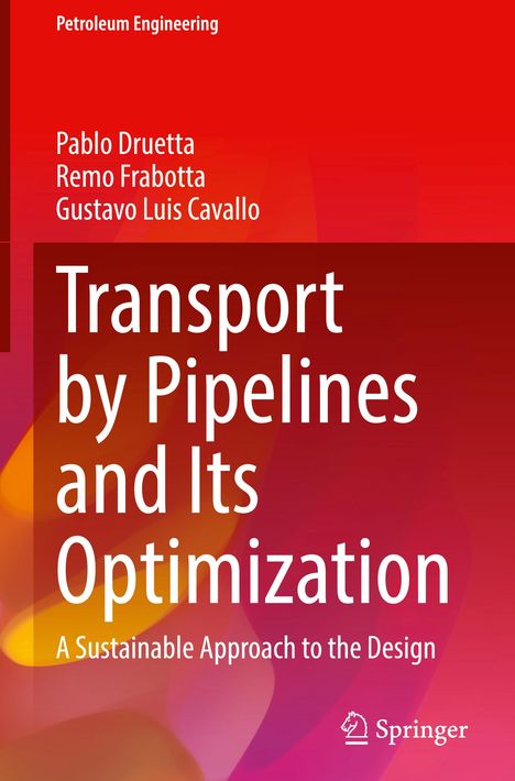 Pablo Druetta: Transport by Pipelines and Its Optimization, Buch