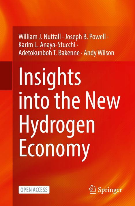 William J. Nuttall: Insights into the New Hydrogen Economy, Buch