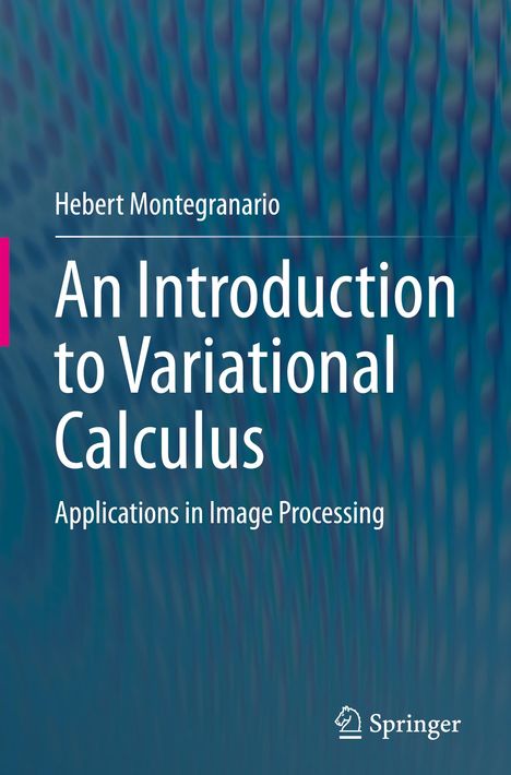 Hebert Montegranario: An Introduction to Variational Calculus, Buch