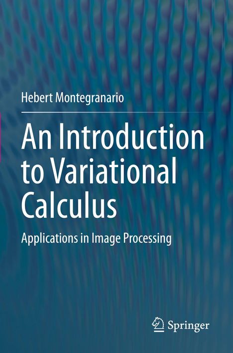Titel: An Introduction to Variational Calculus. Hintergrund: Wellenartiges, blaues Muster. Unten: Springer-Logo.