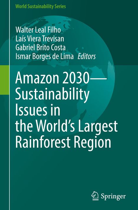 Amazon 2030 - Sustainability Issues in the World's Largest Rainforest Region, Buch