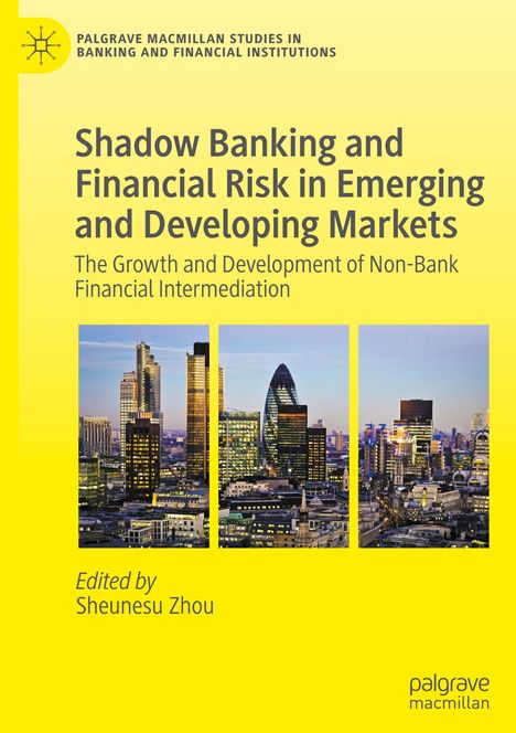 Shadow Banking and Financial Risk in Emerging and Developing Markets, Buch