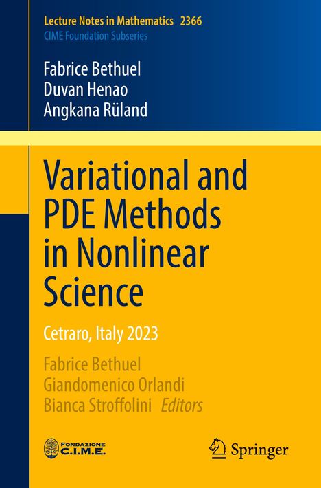 Fabrice Bethuel: Variational and PDE Methods in Nonlinear Science, Buch
