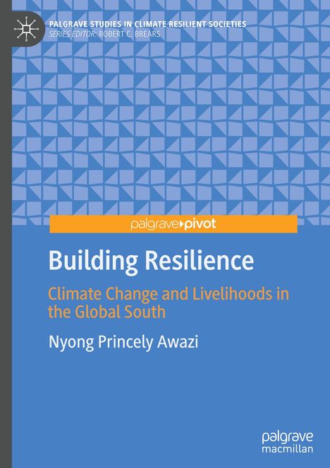 Nyong Princely Awazi: Building Resilience, Buch