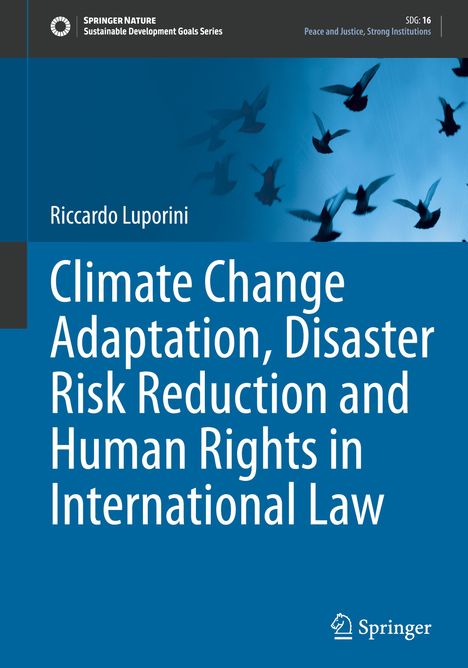 Riccardo Luporini: Climate Change Adaptation, Disaster Risk Reduction and Human Rights in International Law, Buch