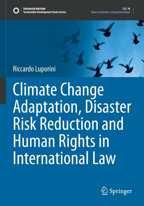 Titel: "Climate Change Adaptation, Disaster Risk Reduction and Human Rights in International Law". Blaue Buchgestaltung mit Vögeln.