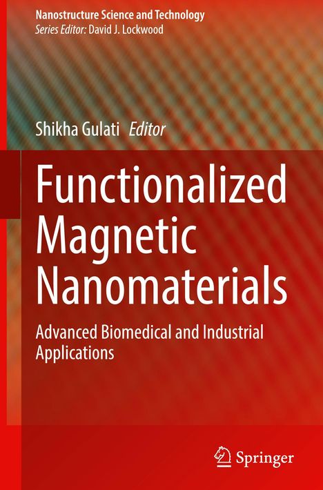Functionalized Magnetic Nanomaterials, Buch