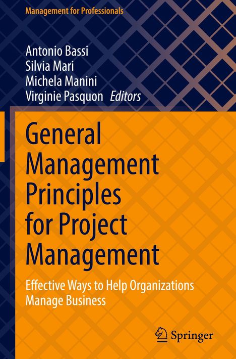 „General Management Principles for Project Management“ steht in großen Buchstaben. Unten rechts ist ein Springer-Logo.