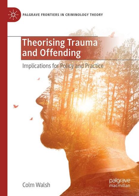 Colm Walsh: Theorising Trauma and Offending, Buch