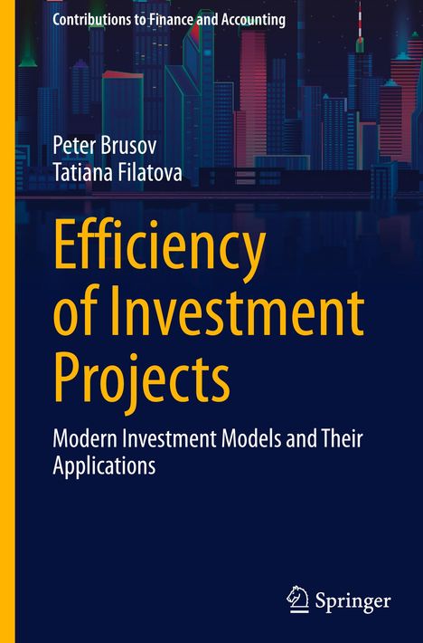 „Efficiency of Investment Projects“ in großer gelber Schrift, darunter eine nächtliche Stadtsilhouette.