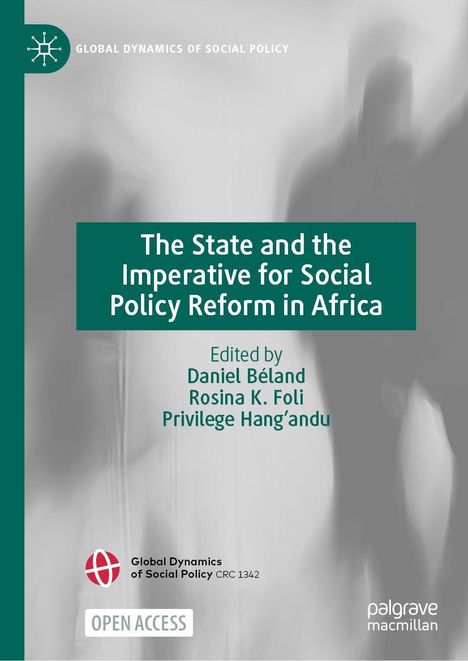 The State and the Imperative for Social Policy Reform in Africa, Buch