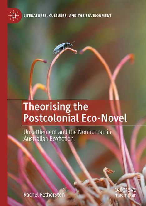 Rachel Fetherston: Theorising the Postcolonial Eco-Novel, Buch
