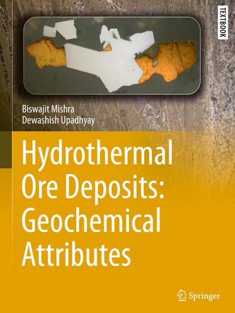 Text: "Hydrothermal Ore Deposits: Geochemical Attributes." Oben geometrisches Muster in Braun und Weiß, Springer-Logo unten.